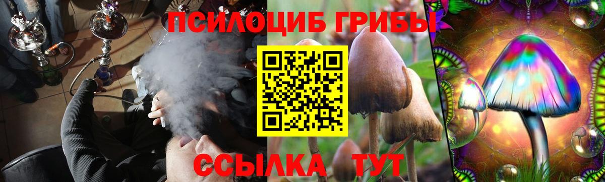 Галлюциногенные грибы Magic Shrooms  Вход с VPN  Благодарный  купить наркотик  Псилоцибиновые грибы мухоморы 