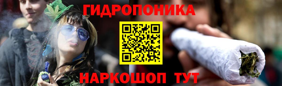 Благодарный  Конопля Bruce Banner  Бошки Шишки White Widow  Шишки марихуана семена  Вход с VPN  Шишки марихуана марихуана 